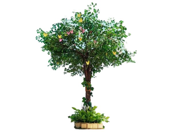 대형 벤자민 나무 [3m]